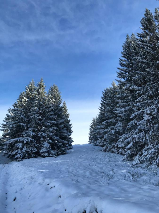 Ferienwohnung Morgentau Am Rande Der Wildnis Sibratsgfäll Exterior foto